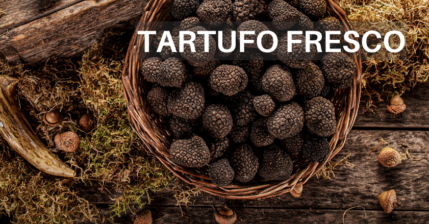 ACQUISTA TARTUFO FRESCO